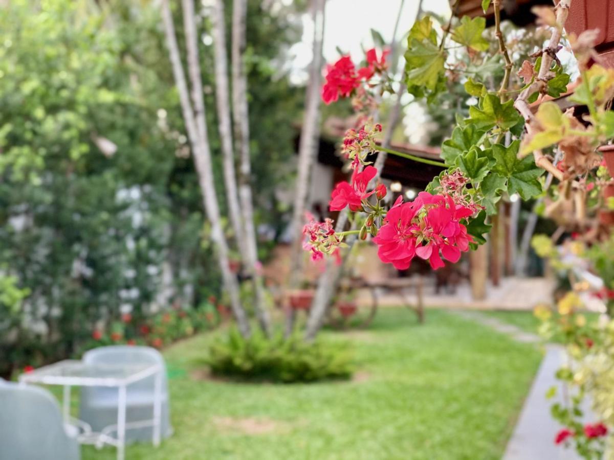 Pousada Nossa Terra Hotel Rio Novo Bagian luar foto